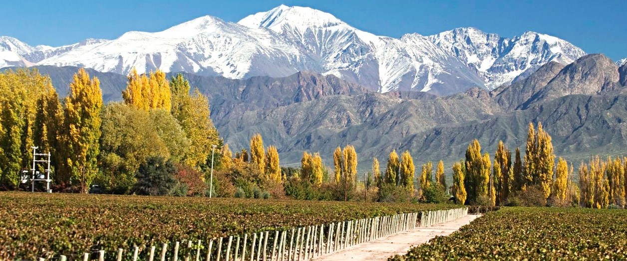 Imagen Valle de Uco y Cordón del Plata
